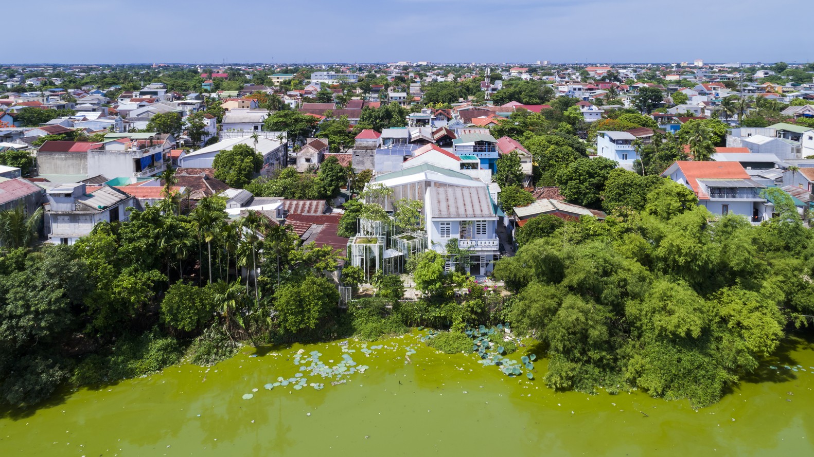 Mê mẩn ngôi nhà dùng dây leo làm nội thất như trong trong truyện cổ tích ảnh 1