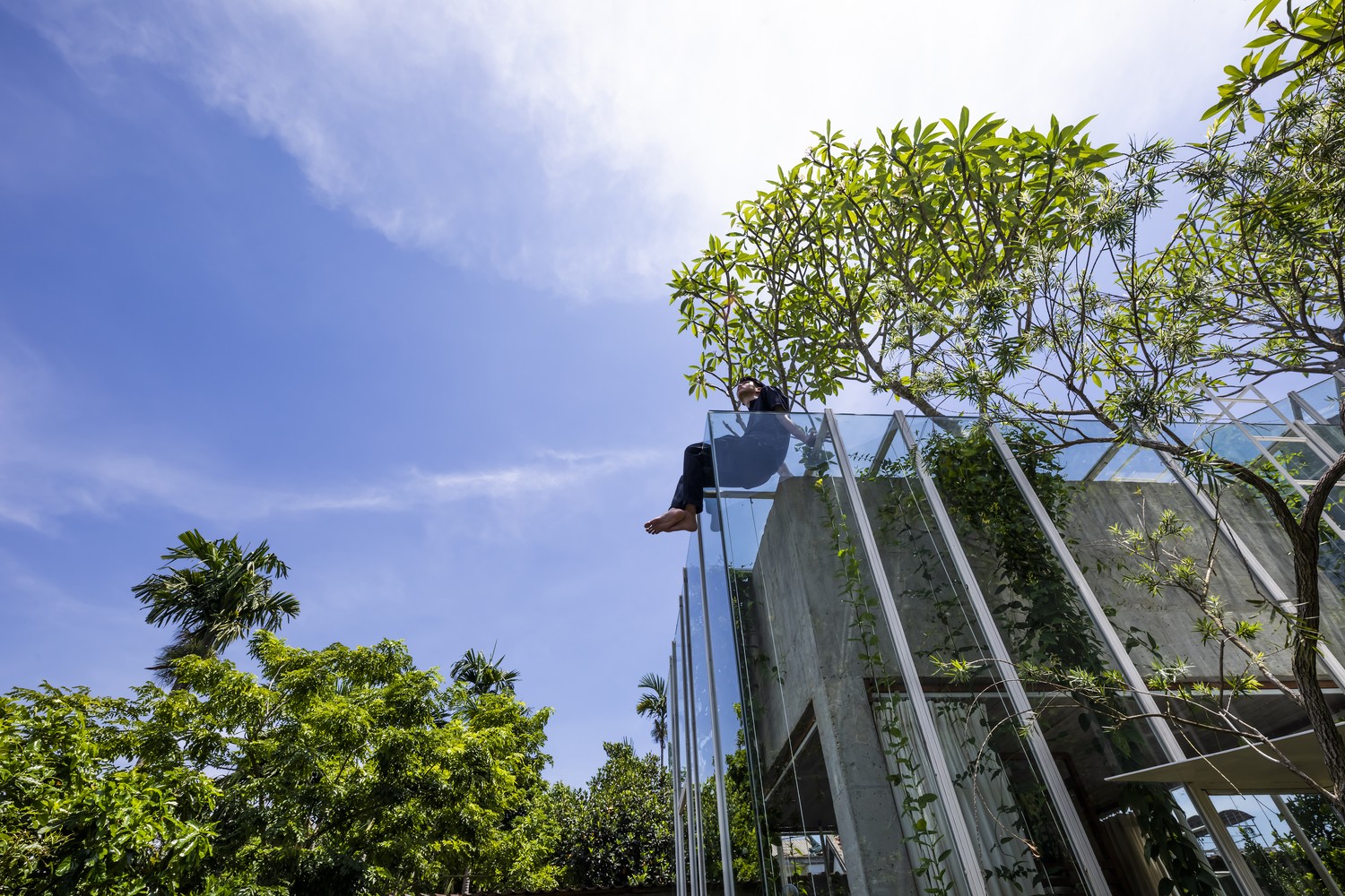 Mê mẩn ngôi nhà dùng dây leo làm nội thất như trong trong truyện cổ tích ảnh 17