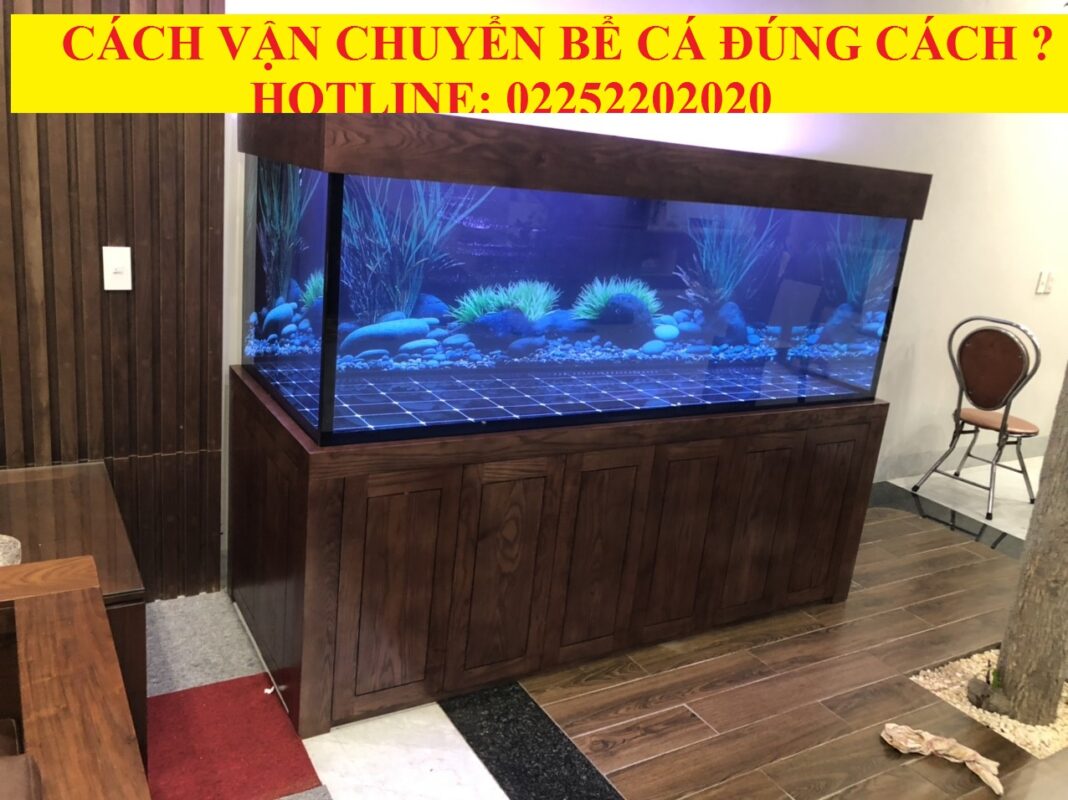 Cách vận chuyển bể cá và Cách vận chuyển cây cảnh lớn